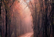 必一运动：中超：马莱莱正式加盟“升班马”大连英博队.