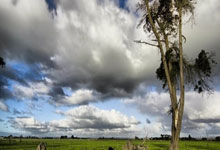 三部门紧急调拨2.2万件中央救灾物资 支援西藏定日县地震救灾救助.