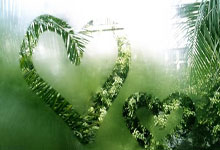 必一运动：[亚冬会]短道速滑男子500米决赛B组.