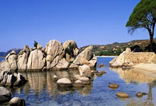 必一运动：西班牙主帥眼淚之謎稱贊法國球技上演情感大戲.